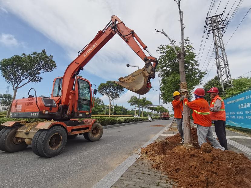 1722417955142 移植補(bǔ)植(05