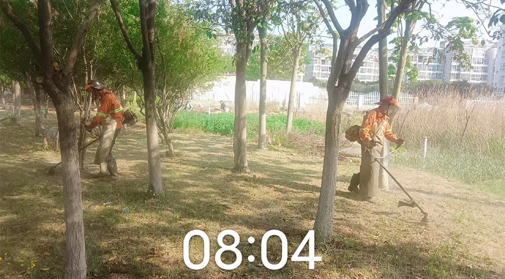 97c4ab8a69f6e501abbd341893d48e99